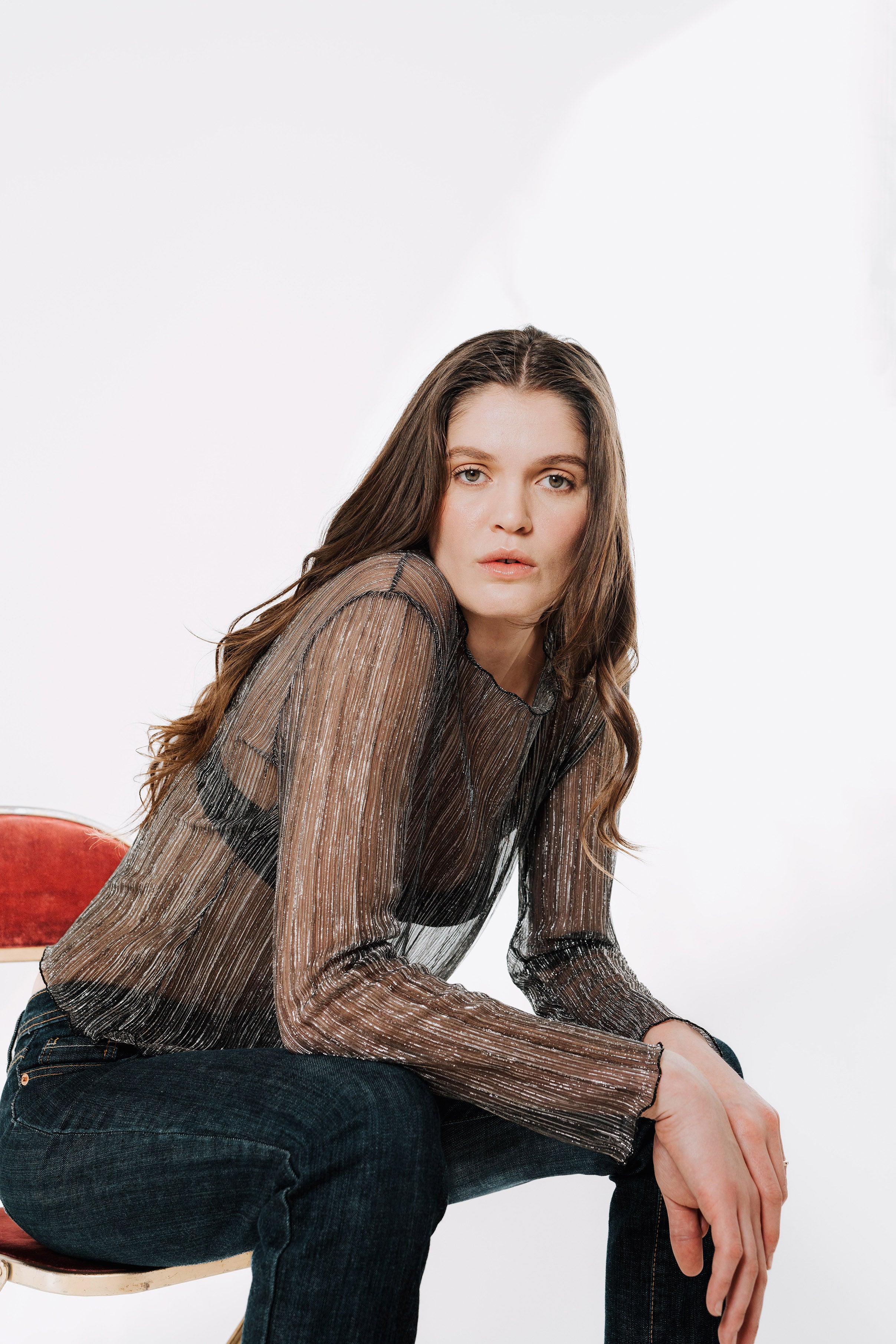 The Urania Long Sleeves Top- Silver